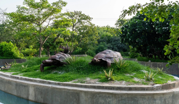 Turtle sculpture made from recycled scrap materials at Jungle Trail Noida