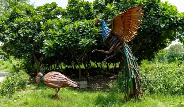 Peacock and peahen sculptures made from recycled scrap at Jungle Trail Noida