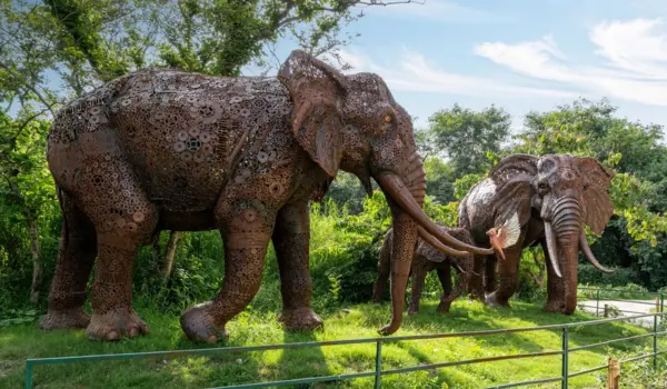 Elephant sculpture made from recycled metal at Jungle Trail waste-to-art park in Noida