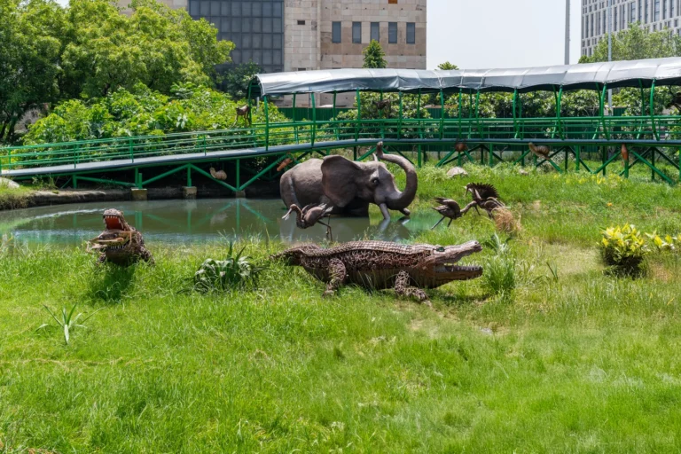 Animals in Jungle Park