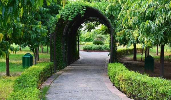 Japanese Park, Rohini – Play and Picnic Delight