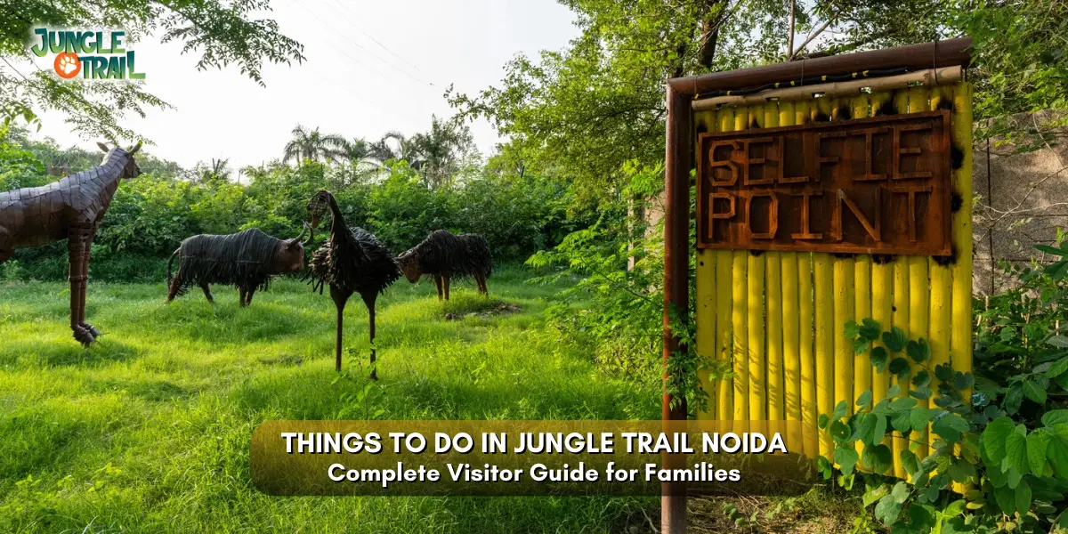 Things to Do in Jungle Trail Noida Complete Visitor Guide for Families