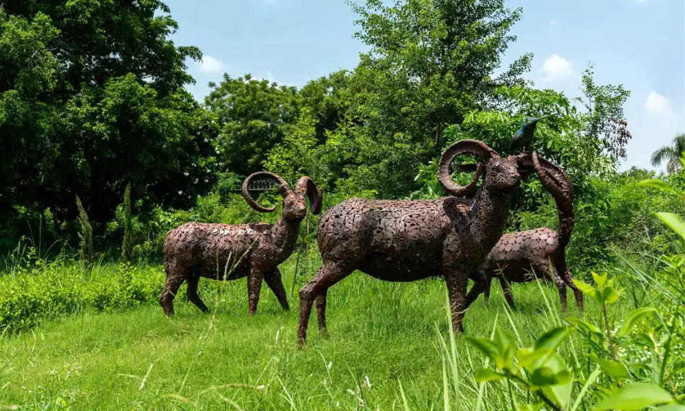 What Makes Jungle Trail Special