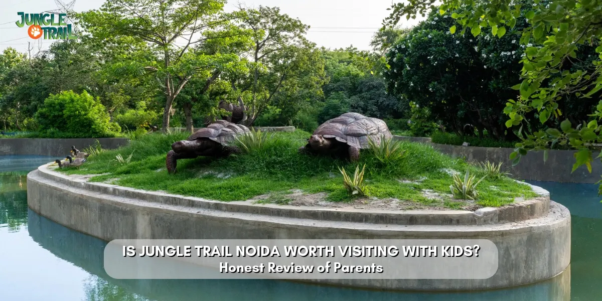 Is Jungle Trail Noida Worth Visiting With Kids? Honest Review of Parents