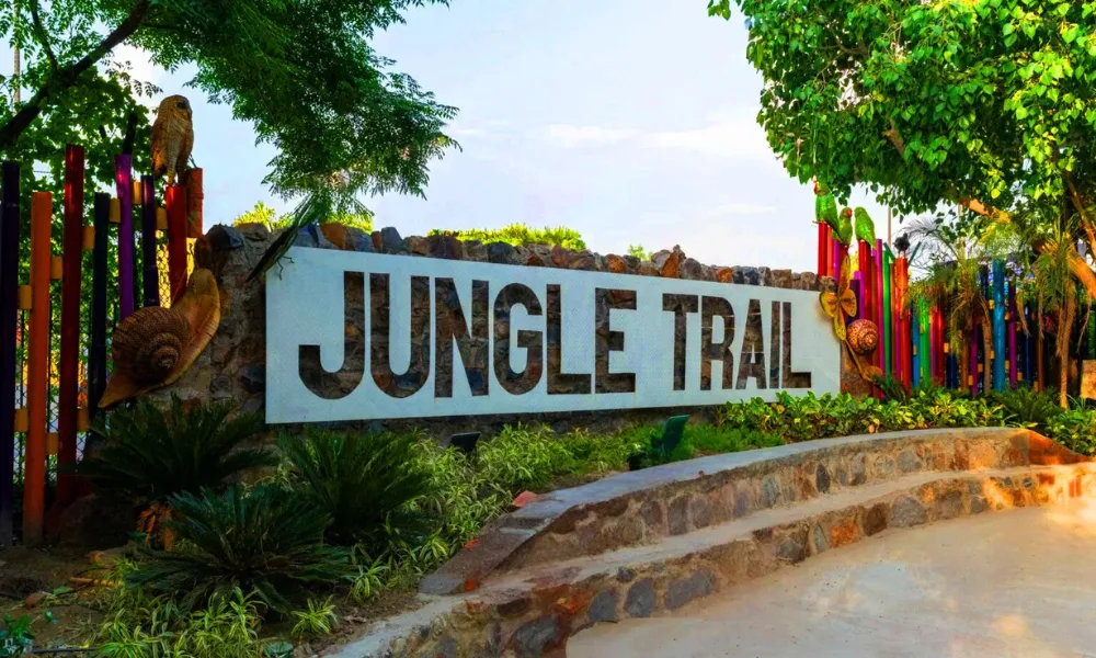 Why Jungle Trail Park is a Must-Visit for Kids