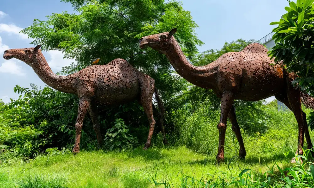 What makes Jungle Trail different?