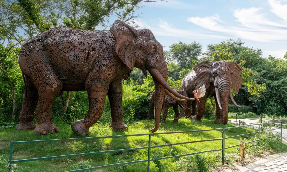 About Jungle Trail Noida