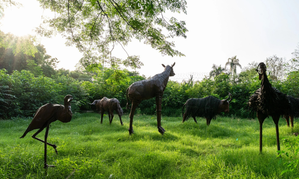 Why Jungle Trail Is a Must-Visit Family Destination in Noida