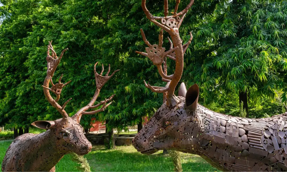 Why Jungle Trail is the Perfect Weekend Escape from Delhi Pollution