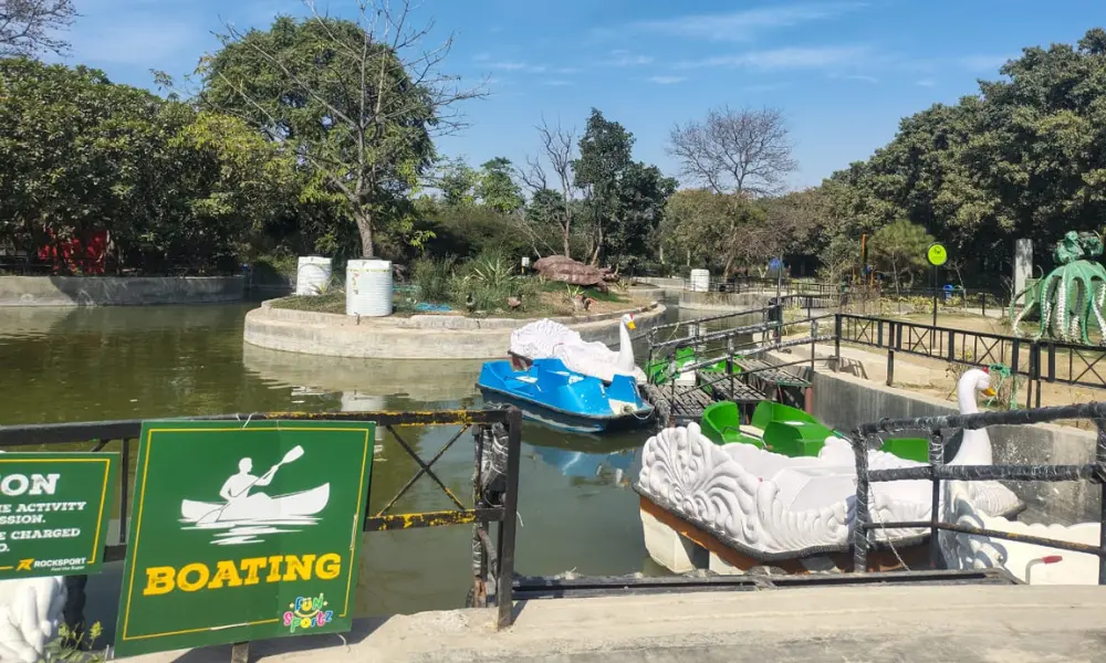 Boat Rides and Relaxing Experiences