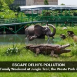 Escape Delhi’s Pollution: Enjoy a Family Weekend at Jungle Trail, the Waste Park in Noida