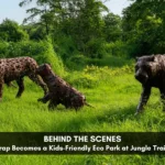Behind the Scenes: How Scrap Becomes a Kids-Friendly Eco Park at Jungle Trail, Noida