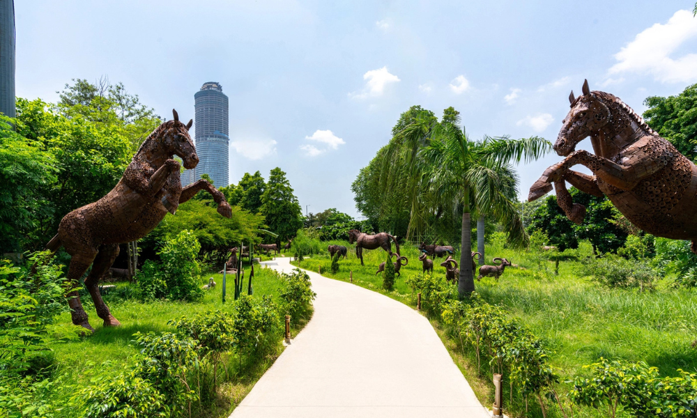 Best Time for Photos