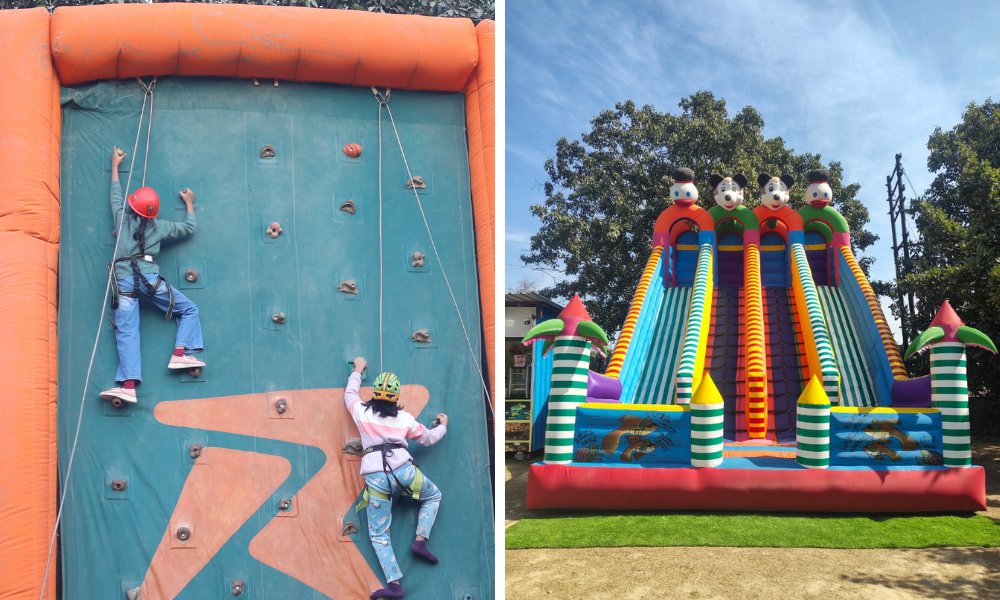 Experience: Which Feels More Engaging