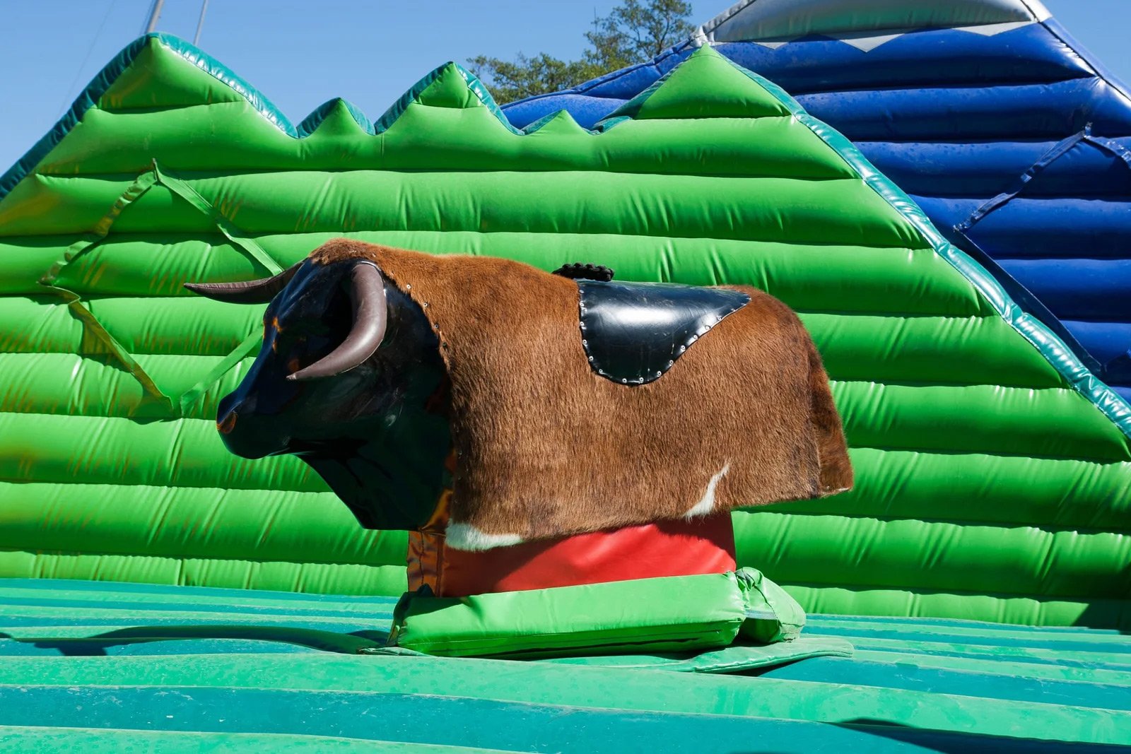 Bull-Ride-image