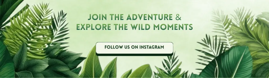 cta jungle trail park noida
