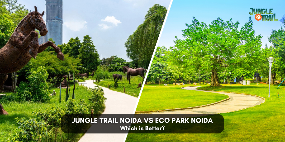 Jungle Trail Noida vs Eco Park Noida comparison banner showing greenery,walking paths,and park landscapes