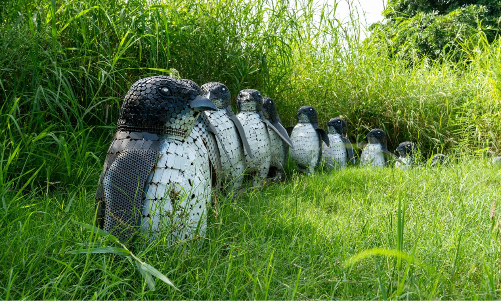 s It Good for Family Outings or Picnic?