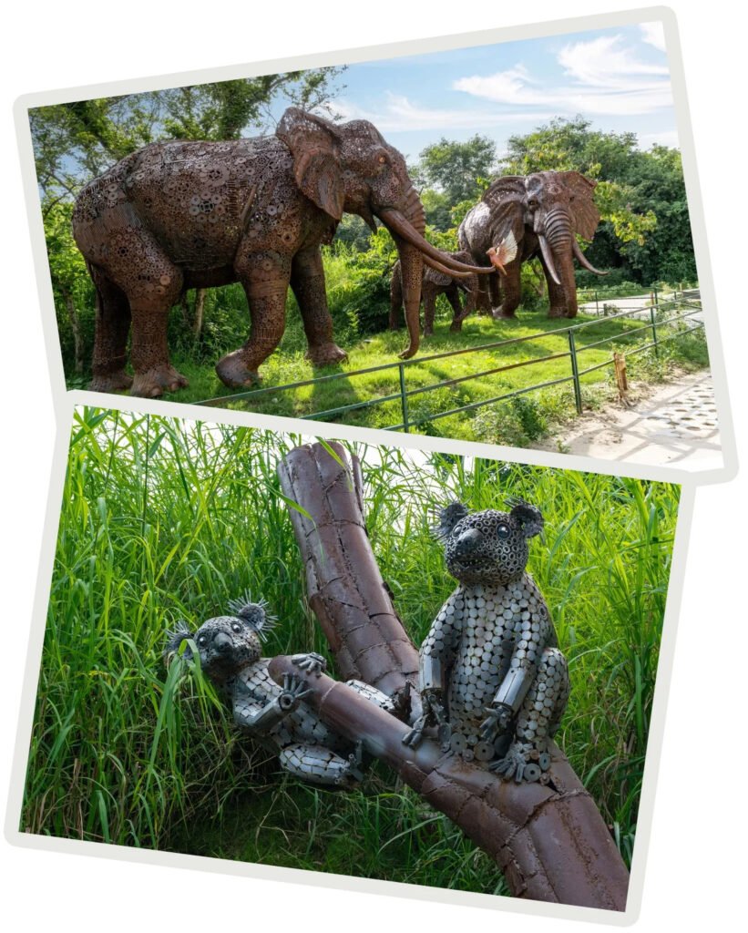 jungle-trail-noida-about-zing-parks-image