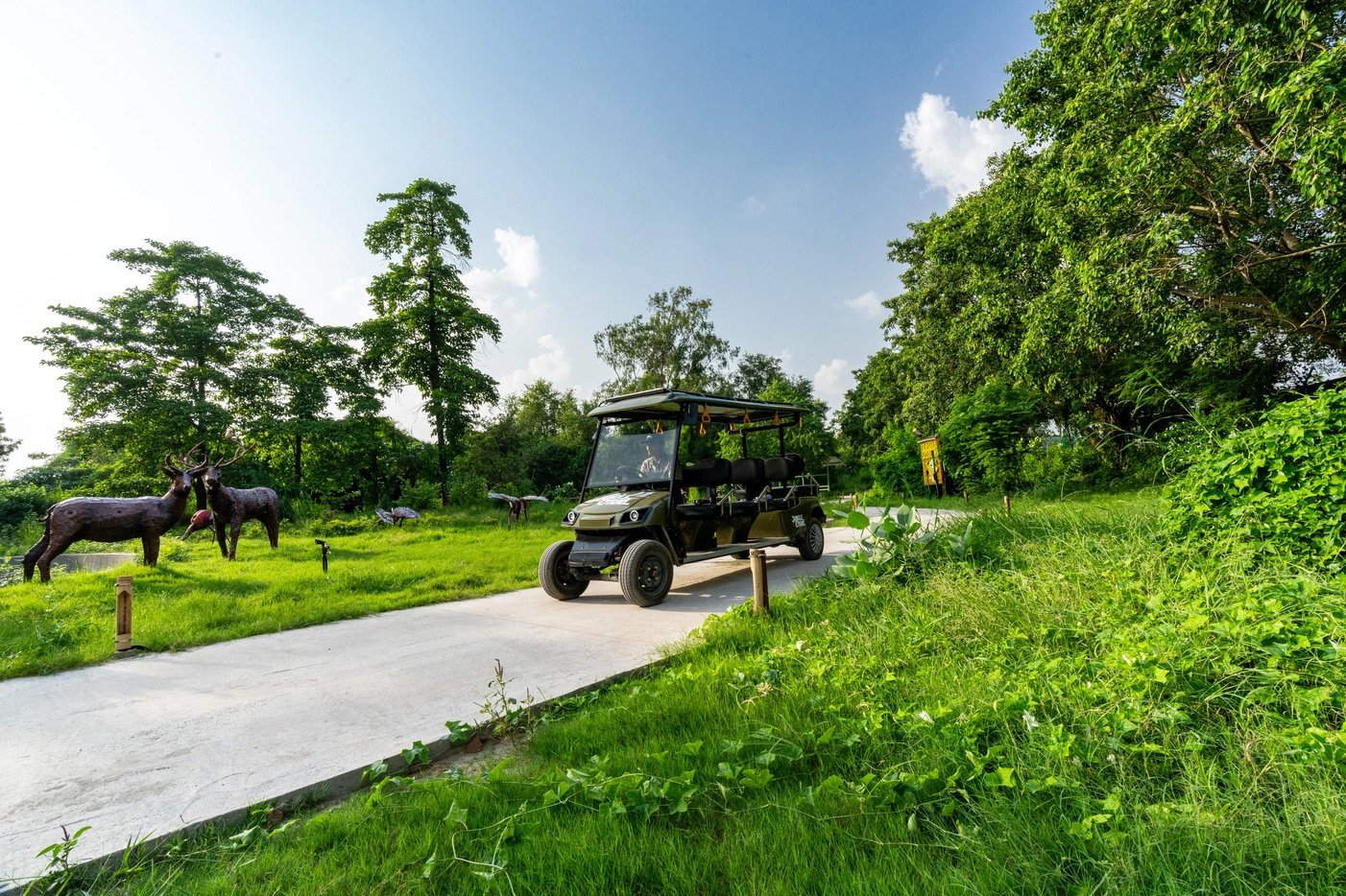 jungle-trail-noida-contact-us-banner-image