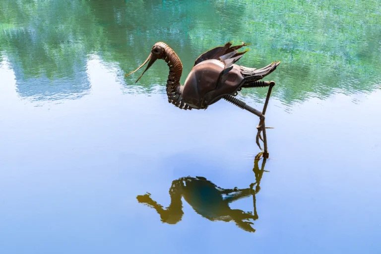 jungle-trail-noida-gallery-banner-image