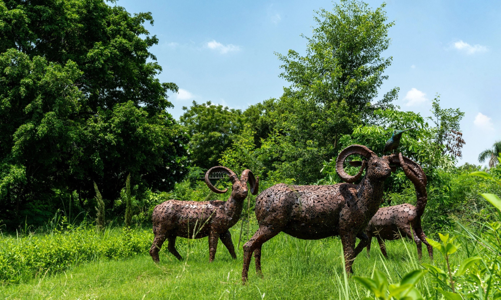 Things to Keep in Mind Before Visiting