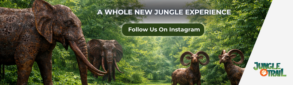 Jungle Trail