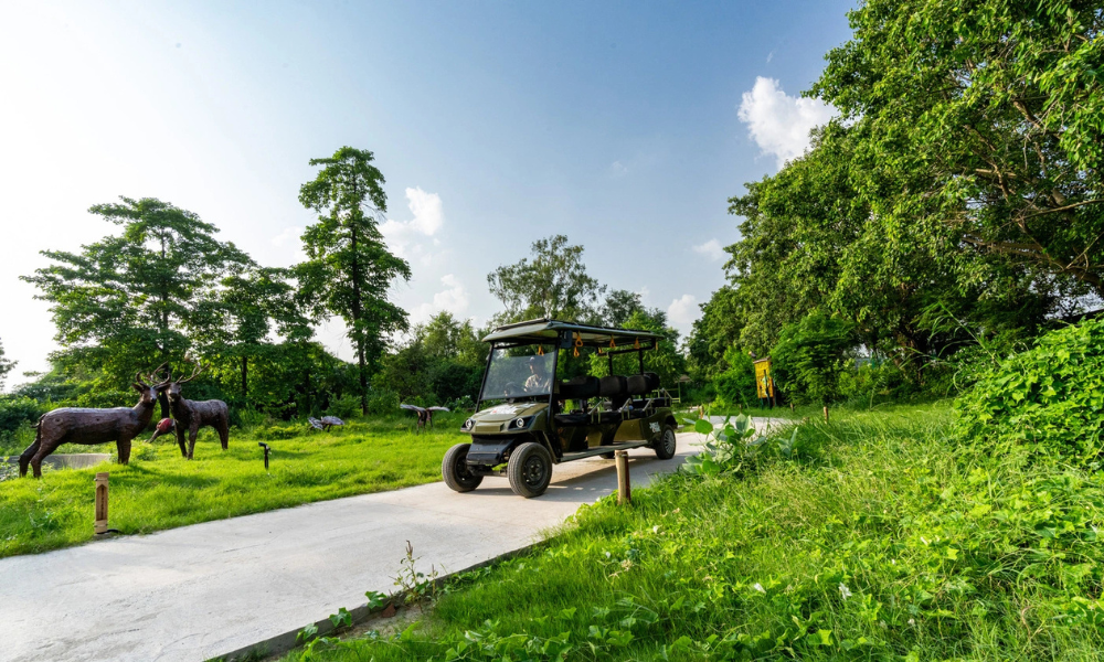 How Jungle Trail Noida Creates an Experience