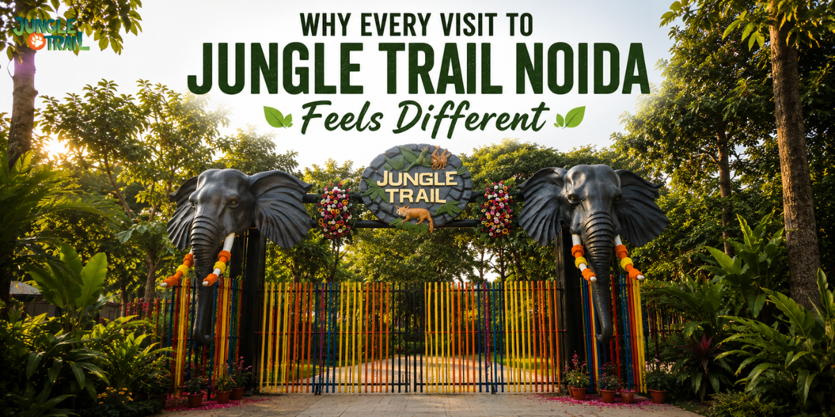 Why Every Visit to Jungle Trail Noida Feels Different