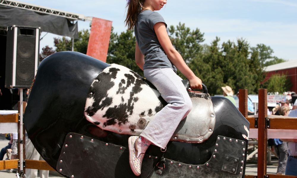 Jungle Trail More Than a Ride—It's a Social Experience