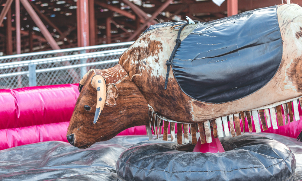 Jungle Trail What Is a Mechanical Bull Ride?