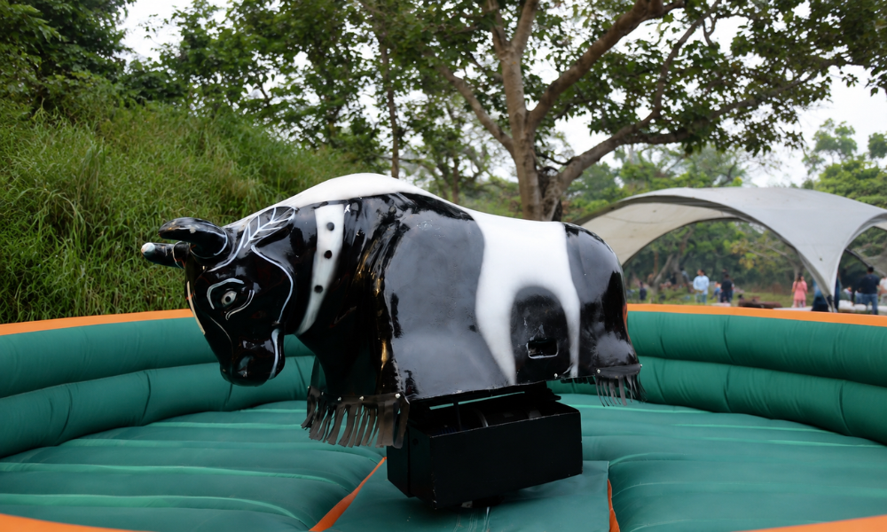 Jungle Trail Why Mechanical Bull Rides Are Growing in India