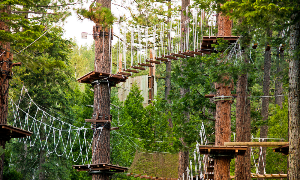 What Is an Adventure Park?