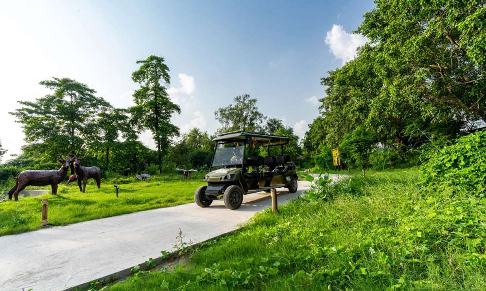 Jungle Trail Jungle Trail Noida — The All-Rounder