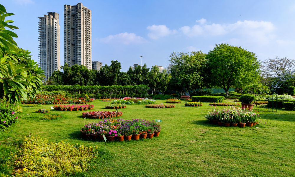Jungle Trail Botanical Garden Noida — Quiet and Green