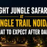 Night jungle safari at Jungle Trail Noida with illuminated animal sculptures and forest pathway after dark